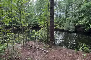 351 Duncan Chapel Rd, Harleyville, SC 29448 - Photo 79