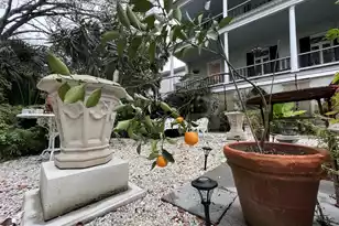 81 Rutledge Ave, Charleston, SC 29401 - Photo 99