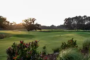 4121 Golf Cottage Ln, Johns Island, SC 29455 - Photo 105