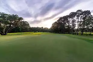 4121 Golf Cottage Ln, Johns Island, SC 29455 - Photo 103