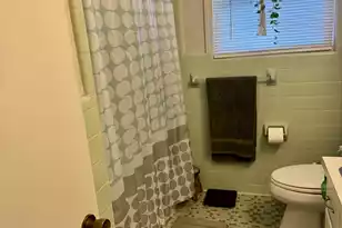 1339 Nightfall Ln, Summerton, SC 29148 - Photo 33