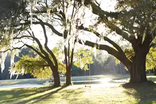 3143 Vanessa Lynne Ln, Johns Island, SC 29455 - Photo 29