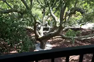 2213 Rolling Dune Rd, Seabrook Island, SC 29455 - Photo 83