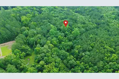 0 Thicket Lane, Saint Stephen, SC 29479 - Photo 9