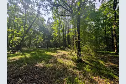 0 Thicket Lane, Saint Stephen, SC 29479 - Photo 7