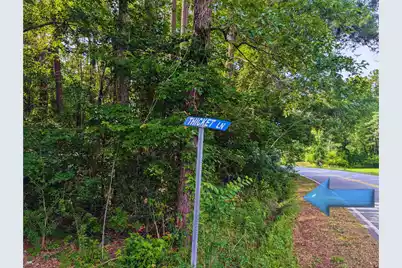 0 Thicket Lane, Saint Stephen, SC 29479 - Photo 3