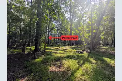 0 Thicket Lane, Saint Stephen, SC 29479 - Photo 5