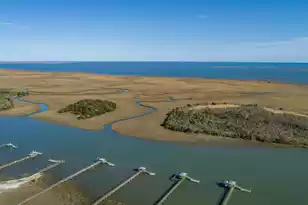 0 Doar Rd, Awendaw, SC 29429 - Photo 9