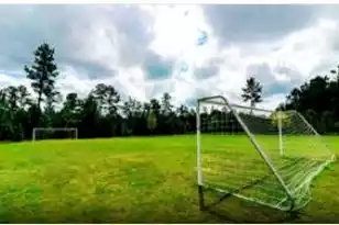 725 Meadowbrook Ln, Summerville, SC 29486 - Photo 25