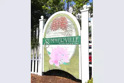 217 Seele Street, Summerville, SC 29485 - Photo 3