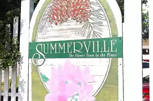 217 Seele St, Summerville, SC 29485 - Photo 3