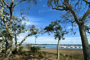 130 River Landing Dr, Charleston, SC 29492 - Photo 47