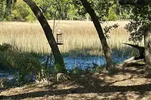 130 River Landing Dr, Charleston, SC 29492 - Photo 45