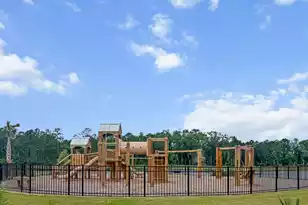 256 Fiddleback Dr, Summerville, SC 29486 - Photo 53