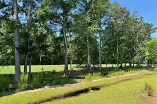 1000 Carolina Way, Manning, SC 29102 - Photo 41