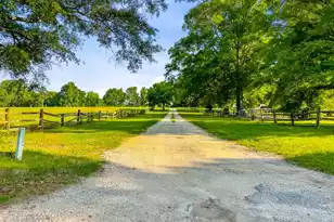 481 Cantey Ln, Camden, SC 29020 - Photo 81