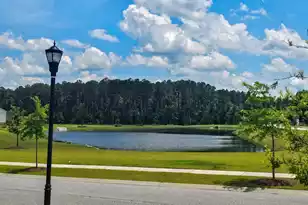 290 Woodland Oak Wy, Summerville, SC 29485 - Photo 7