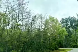 0 Glen St, Walterboro, SC 29488 - Photo 1