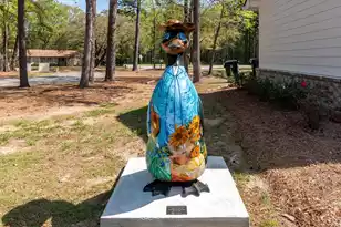 422 Duskywing Dr, Goose Creek, SC 29445 - Photo 43