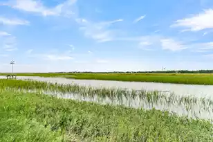 250 Little Oak Island Dr, Folly Beach, SC 29439 - Photo 27