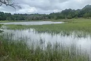 4141 SC-174, Hollywood, SC 29449 - Photo 1