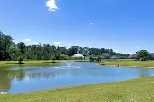 3006 Central Ring Ct, Ridgeville, SC 29472 - Photo 39