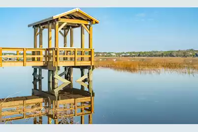 3902 Summerton Street, Mount Pleasant, SC 29466 - Photo 43