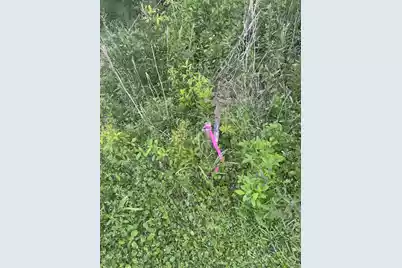 4798 Reggie Road, Johns Island, SC 29455 - Photo 9