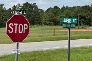 1482 Hebron Rd, Neeses, SC 29107 - Photo 5