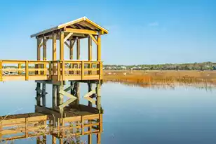 3898 Summerton Street Dr, Mount Pleasant, SC 29466 - Photo 63