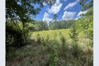 O Cobb Ct Interior Parcel, Walterboro, SC 29488 - Photo 11