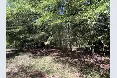O Cobb Ct Interior Parcel, Walterboro, SC 29488 - Photo 9