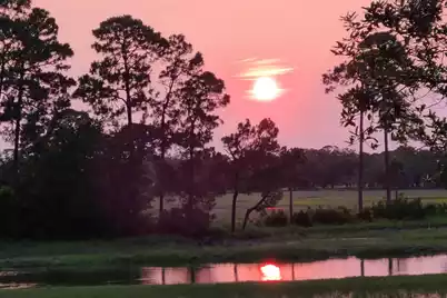 79 Trailing Vine Way, Kiawah Island, SC 29455 - Photo 91