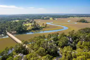 79 Trailing Vine Wy, Kiawah Island, SC 29455 - Photo 15