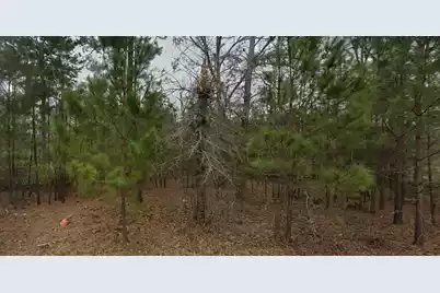 2762 Myrtle Drive, Orangeburg, SC 29115 - Photo 1