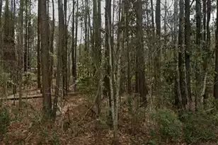 2797 Hilda Dr, Orangeburg, SC 29115 - Photo 1