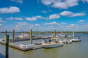 101 Palm Blvd, Isle Of Palms, SC 29451 - Photo 3