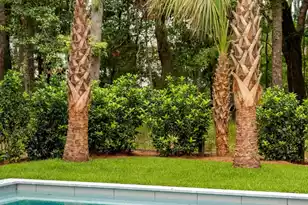 8187 Jack Is Dr, Johns Island, SC 29455 - Photo 83