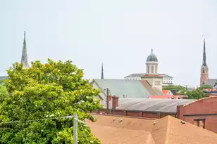 173 Coming St, Charleston, SC 29403 - Photo 23