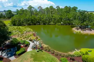 391 Evian Way, Mount Pleasant, SC 29464 - Photo 69