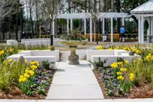 173 Threaded Fern St, Summerville, SC 29485 - Photo 37