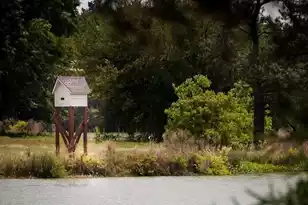 173 Threaded Fern St, Summerville, SC 29485 - Photo 41