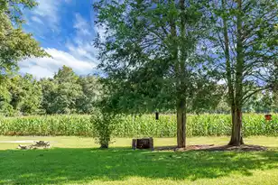 4428 Maple Ridge Rd, Walterboro, SC 29488 - Photo 9