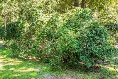 4428 Maple Ridge Road, Walterboro, SC 29488 - Photo 59