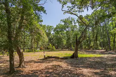 31 Tupelo Trail, Edisto Island, SC 29438 - Photo 17
