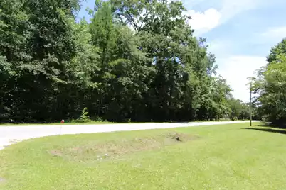 131 Gloverville Lane, Round O, SC 29474 - Photo 3