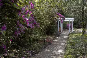 208 Sumter Ave, Summerville, SC 29483 - Photo 97