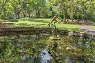 208 Sumter Ave, Summerville, SC 29483 - Photo 191