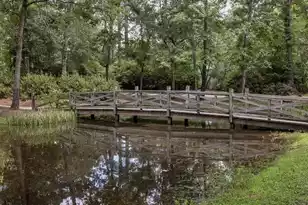 208 Sumter Ave, Summerville, SC 29483 - Photo 189