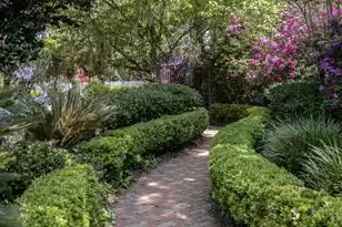 208 Sumter Ave, Summerville, SC 29483 - Photo 93